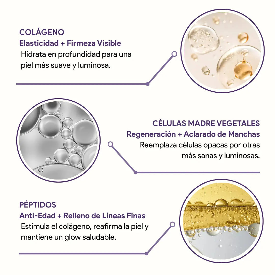 Células madre Mesowhite